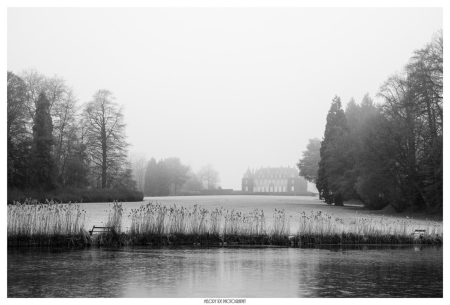 Dans la brume