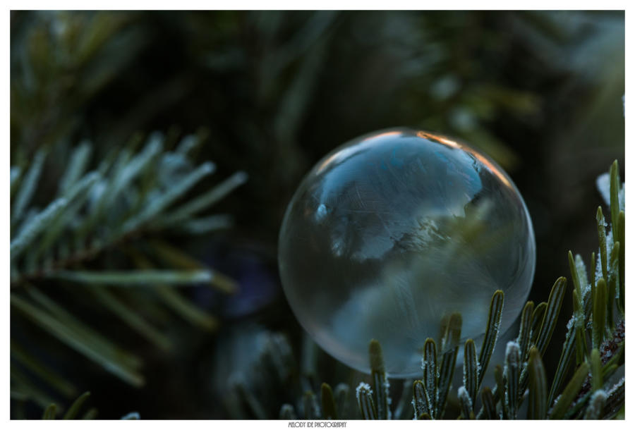Bulle (1)