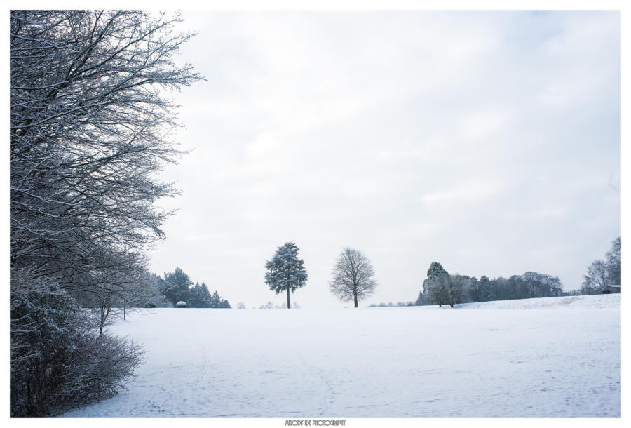 Solitaires