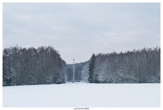 Soleil dans la neige